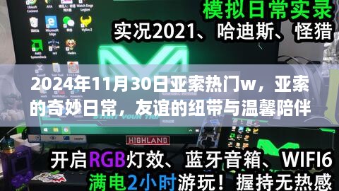 亚索的奇妙日常，友谊纽带与温馨陪伴的温馨时刻（2024年11月）