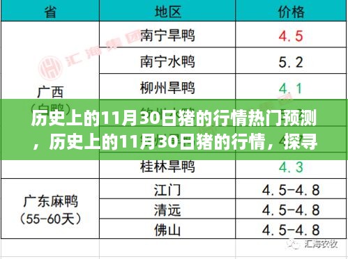 历史上的11月30日猪行情深度解析，探寻未来趋势，励志前行预测