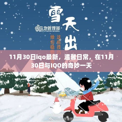 11月30日与IQO的温馨日常，奇妙一天的记录