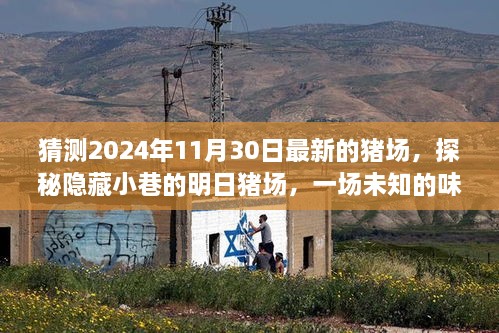 探秘未知猪场，隐藏小巷的味蕾冒险之旅（预测2024年11月30日最新猪场）