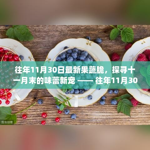 往年11月30日最新果蔬脆，探寻十一月末的味蕾新宠 —— 往年11月30日最新果蔬脆概览