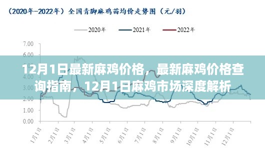 12月1日麻鸡价格行情及市场深度解析