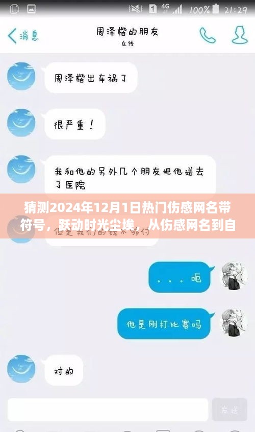 伤感网名演变之旅，跃动时光尘埃，从悲伤到自信的巨人蜕变之路（预测至2024年）