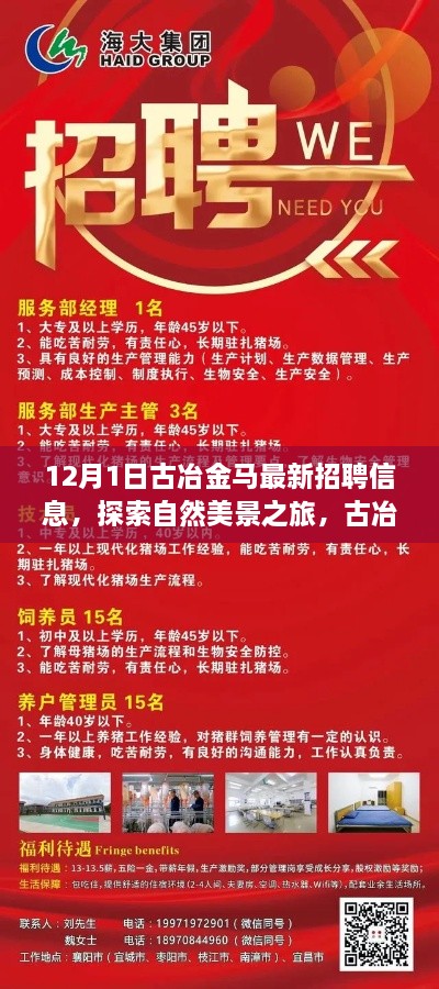 古冶金马最新招聘启事，探索自然美景之旅，邀您共赴宁静之旅