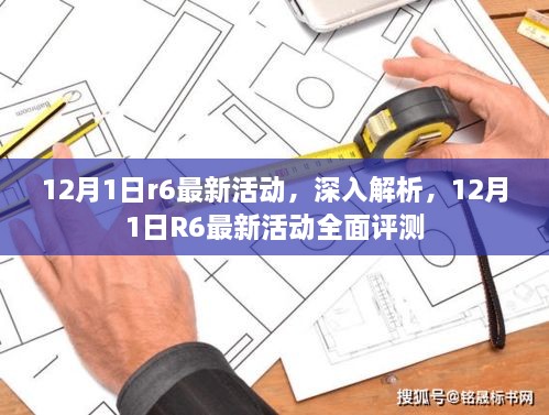 12月1日R6最新活动深度解析与全面评测