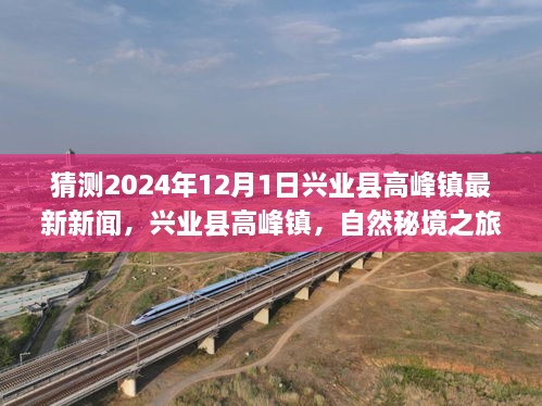 兴业县高峰镇自然秘境之旅，探寻心灵宁静的彼岸——最新新闻预测（2024年12月1日）