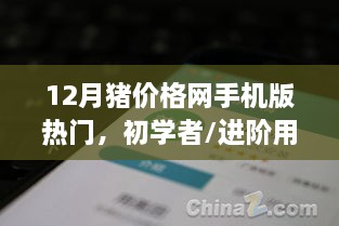 初学者到进阶用户必备，12月猪价格网手机版使用指南与热门资讯解析