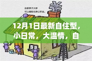 暖心日常，自住型生活里的温馨故事（12月1日最新）