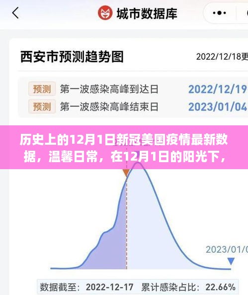 12月1日美国新冠疫情数据更新，共同面对挑战，温馨日常中的阳光希望