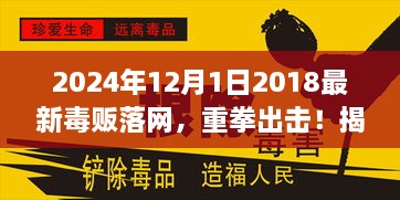 揭秘毒贩落网背后的故事与影响，重拳出击，毒贩落网实录（2024年）