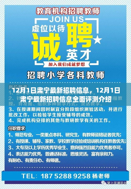 12月1日肃宁最新招聘信息全面更新及评测介绍