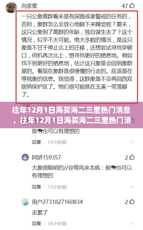 往年12月1日海买海二三里热门消息深度解析，特性、体验、对比及用户反馈综述