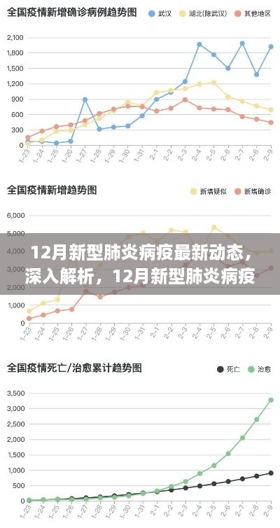 12月新型肺炎病疫最新动态深度解析与全面评测