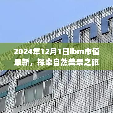 IBM市值最新动态，探索市值背后的自然美景之旅与宁静力量