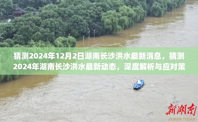 深度解析与应对策略，预测湖南长沙洪水最新动态，展望2024年洪水趋势与应对措施