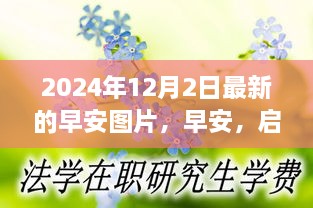 早安启程，探索自然秘境的心灵之旅图片分享（2024年12月2日）