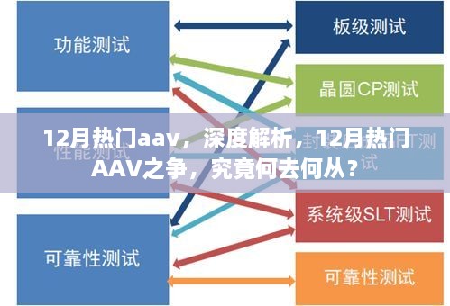 深度解析，12月热门AAV之争，未来何去何从？