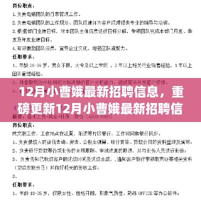 12月小曹娥最新招聘信息揭秘，职场新星们不容错过的招聘信息