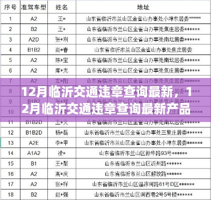 12月临沂交通违章查询最新产品及评测介绍