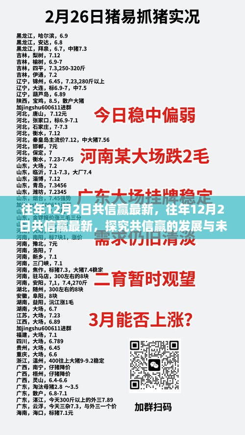 共信赢的发展与未来趋势，历年12月2日最新动态分析