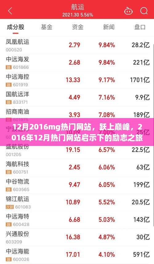 励志之旅，揭秘跃上巅峰的2016年12月热门网站启示录