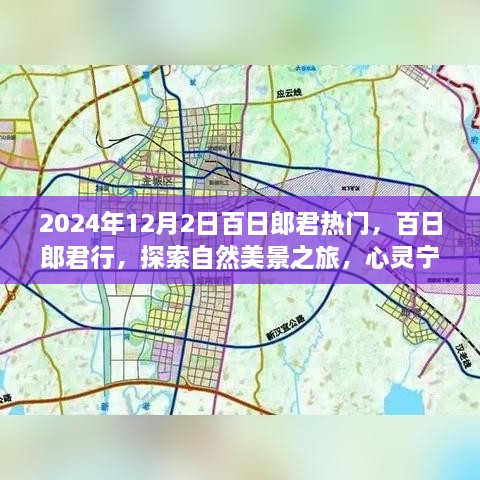 2024年12月3日 第10页