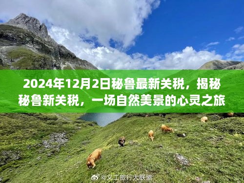 揭秘2024年秘鲁新关税，自然美景的心灵之旅探寻平静的力量