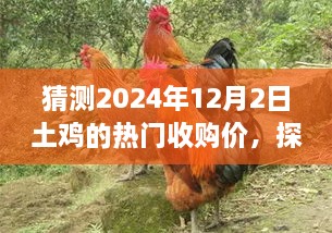 探索自然美景之旅，预测未来土鸡收购价与寻找内心平和（XXXX年土鸡市场趋势分析）