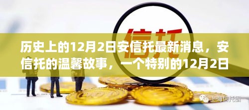 安信托最新动态，温馨故事中的特殊12月2日