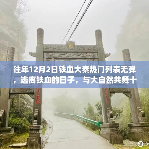 逃离铁血大秦，十二月与自然的共舞时光