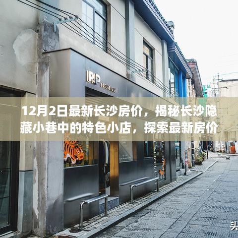 揭秘长沙隐藏小巷特色小店，最新房价与独特生活美学的探索