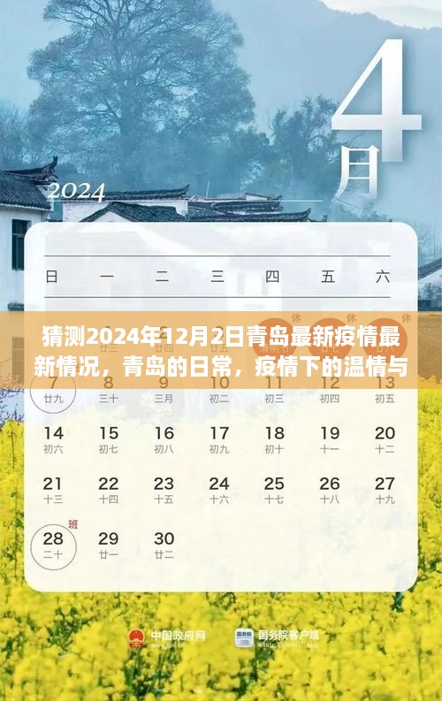 青岛疫情最新动态，温情与期待下的日常，预测至2024年12月2日