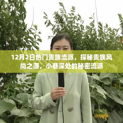 探秘贵族风尚之源，揭秘贵族流派与小巷深处的秘密风尚（12月2日热门）