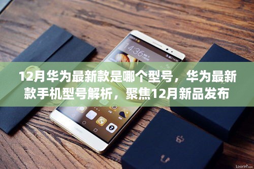 华为最新款手机型号解析，聚焦12月新品发布，揭秘最新型号手机