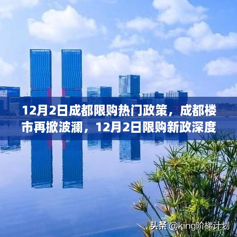 2024年12月4日 第24页