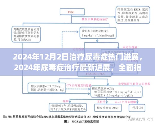 2024年尿毒症治疗最新进展全面指南，了解治疗流程与热门进展