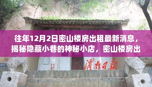 密山楼房出租最新消息与神秘小店揭秘，温馨之旅的不期而遇体验