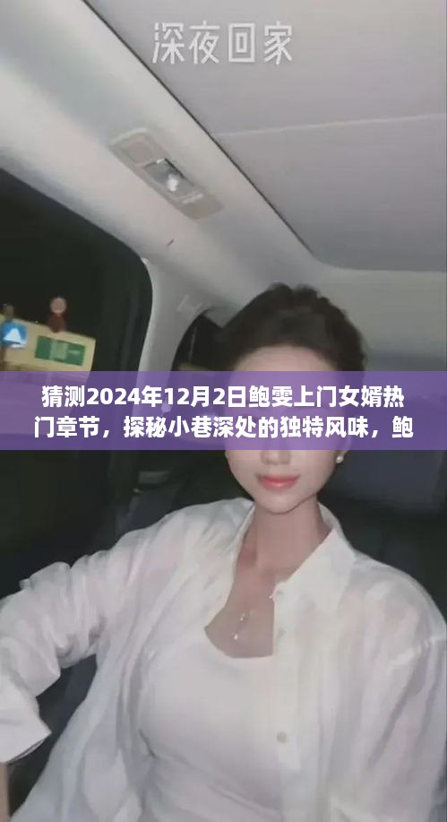 独家揭秘，鲍雯上门女婿热门章节背后的故事与小巷深处的独特风味，2024年12月2日探秘之旅