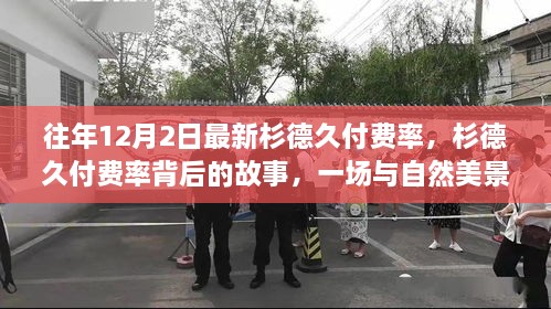 杉德久付费率背后的故事，与自然美景的邂逅之旅，寻求内心平和与宁静的旅程