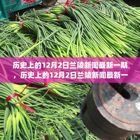 历史上的12月2日兰陵新闻深度解读，历史意义与当代启示揭秘