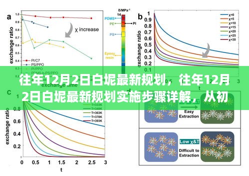 往年12月2日白坭规划详解，从最新实施步骤到精通指南