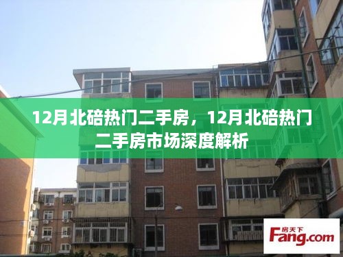 12月北碚热门二手房市场深度解析与房源概览