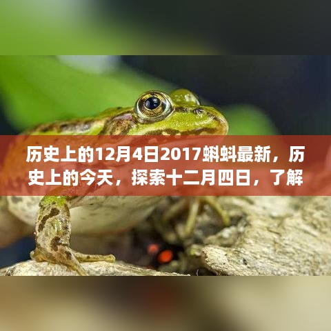 历史上的今天，探索十二月四日，蝌蚪最新资讯与技能学习指南（2017年）