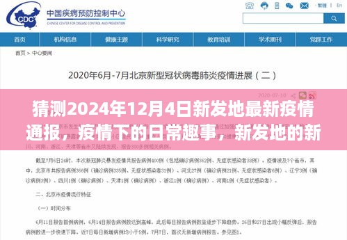 新发地疫情最新通报，日常趣事与家的温暖，2024年12月4日观察