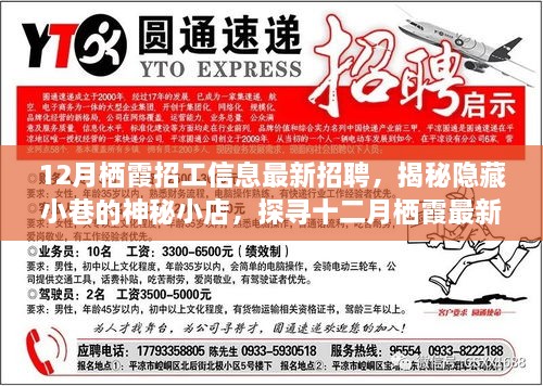 揭秘隐藏小巷的神秘小店，探寻十二月栖霞最新招工信息与特色就业之旅