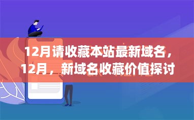 12月新域名收藏价值探讨，不容错过的最新域名推荐