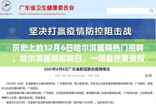 哈尔滨医院招聘日，探寻自然美景之旅，寻找内心的宁静与平和