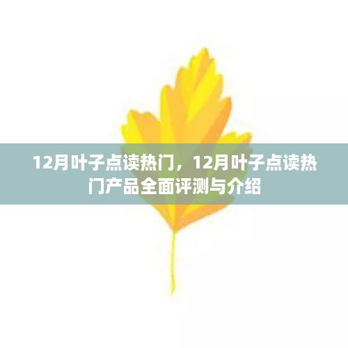 12月叶子点读热门产品全面解析与介绍