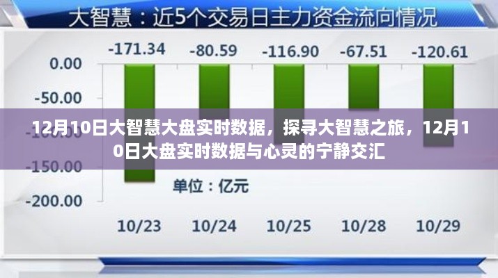 探寻大智慧之旅，12月10日大盘实时数据与心灵交汇的宁静时刻