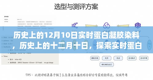 历史上的十二月十日，实时蛋白凝胶染料诞生与发展的探索之旅